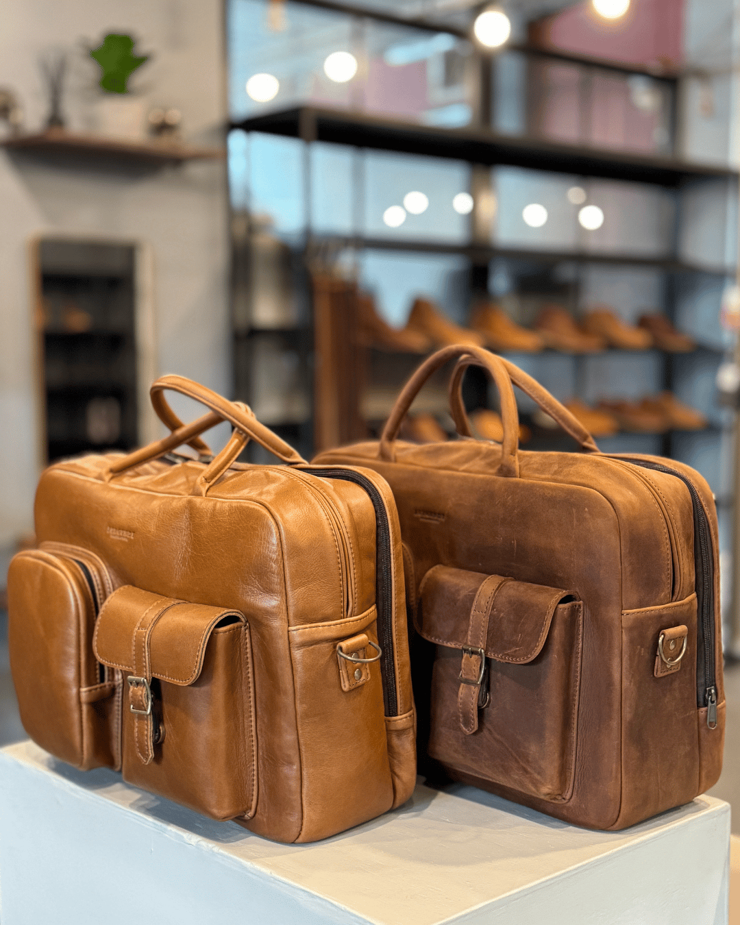 The Business Briefcase